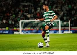 详解棒球规则中的“打者干扰”当挥棒随挥动作触及捕手身体