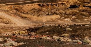 姚明不再兼任CBA公司董事长